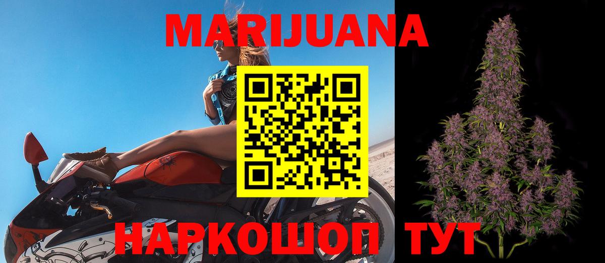 Канабис OG Kush Гай